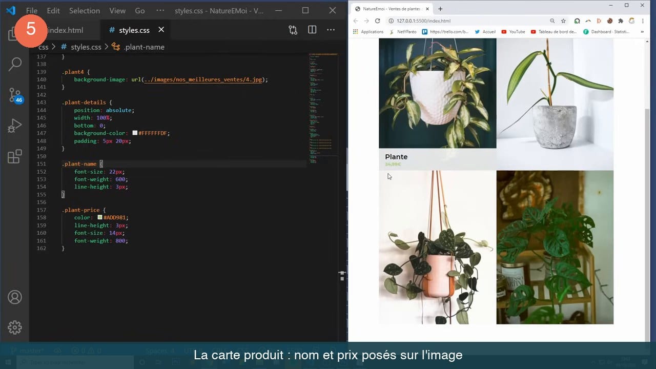 Règles CSS plant-details et rendu d'une carte plante affichant son nom et son prix sur un fond blanc translucide.