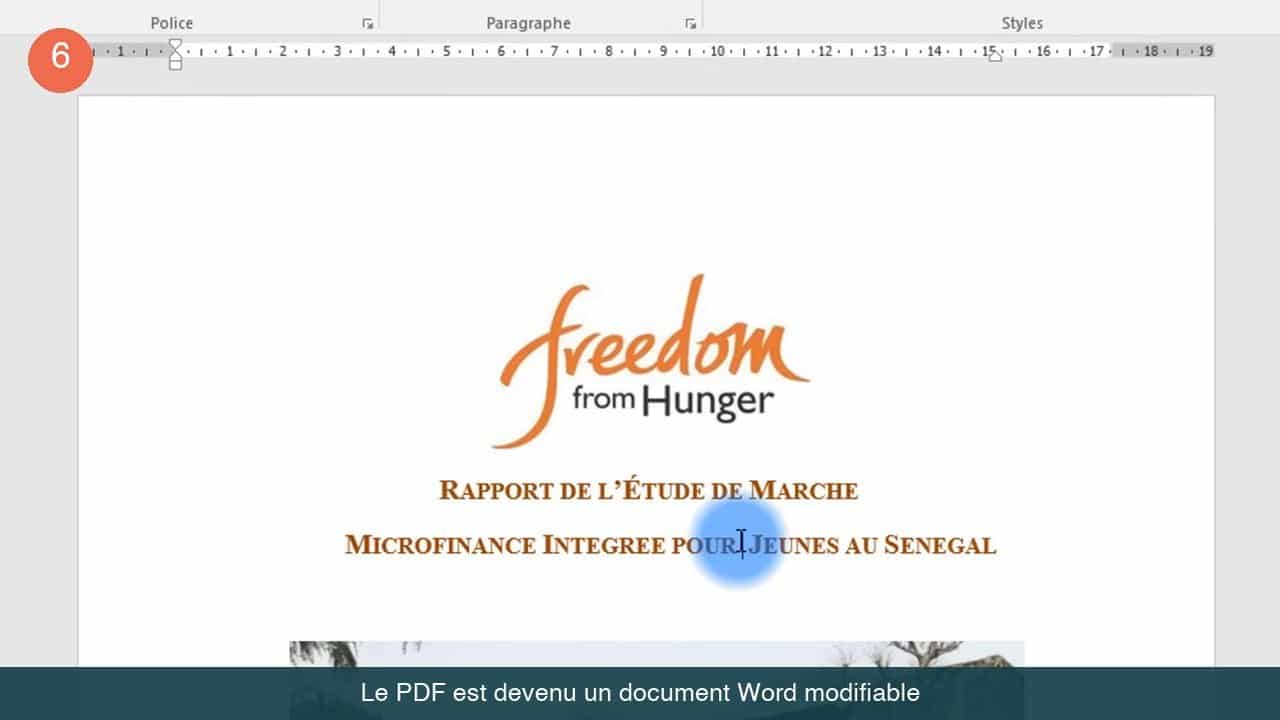 Document Word issu de la conversion du PDF, titre du rapport modifiable avec le curseur dans le texte