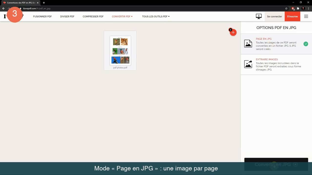 Panneau Options PDF en JPG avec le mode Page en JPG coché et le bouton Convertir en JPG