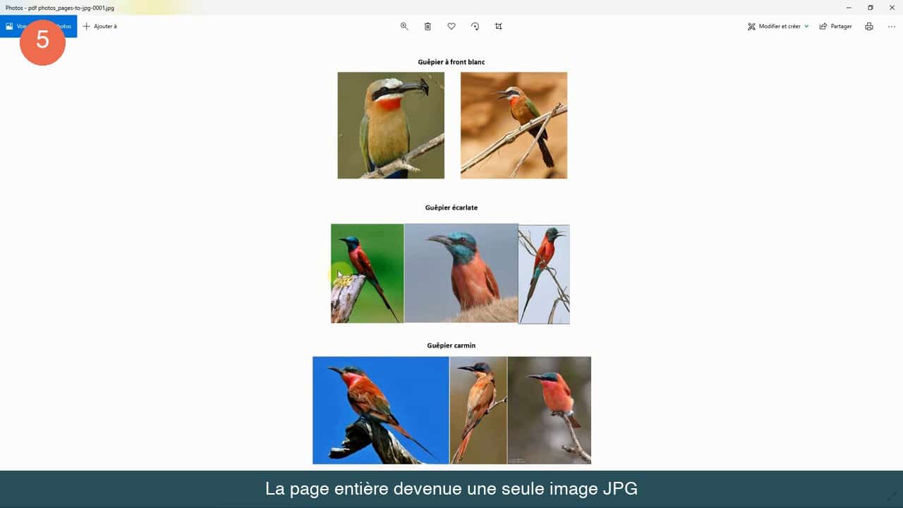 Page complète du PDF affichée comme une seule image JPG dans la visionneuse Photos