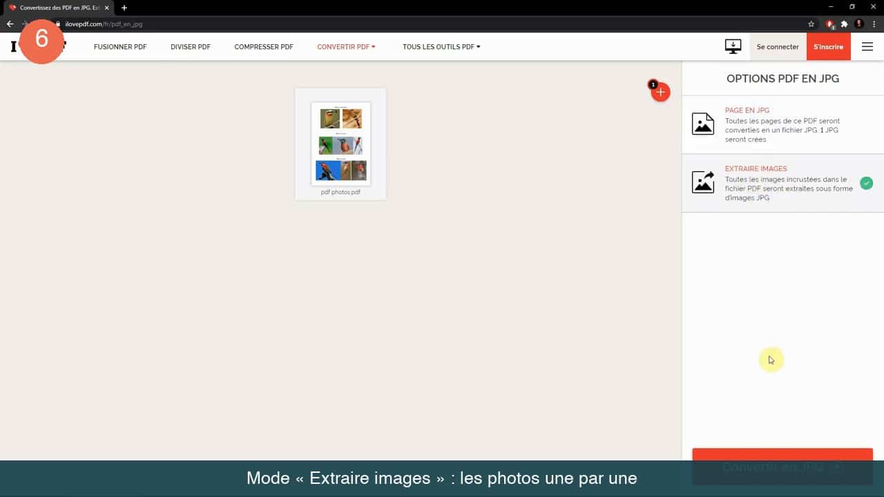 Panneau Options PDF en JPG avec le mode Extraire images coché