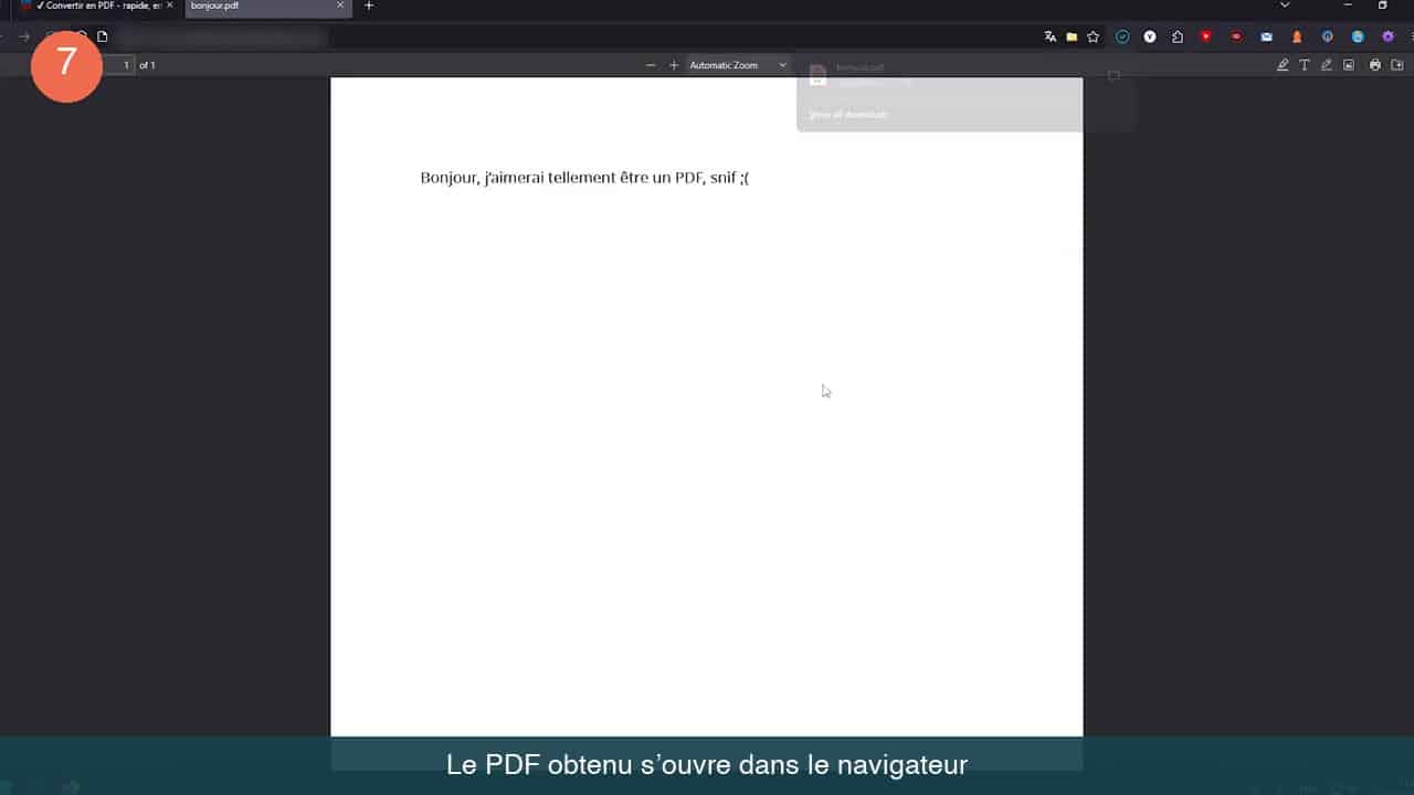 Le PDF converti ouvert dans un onglet du navigateur, texte intact sur une page