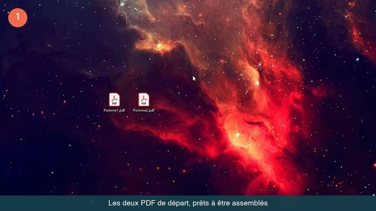 Deux fichiers PDF nommés Pomme1.pdf et Pomme2.pdf posés sur le bureau Windows