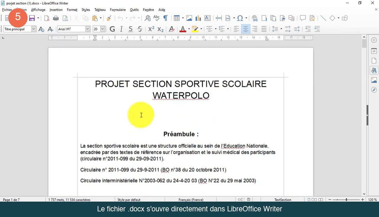 Document .docx ouvert dans LibreOffice Writer avec le titre, le préambule et les paragraphes modifiables