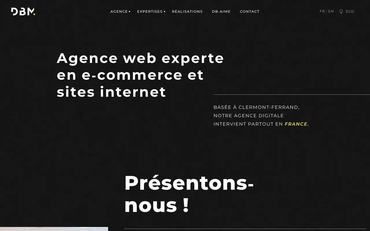 Page d’accueil du site de De Bussac Multimédia